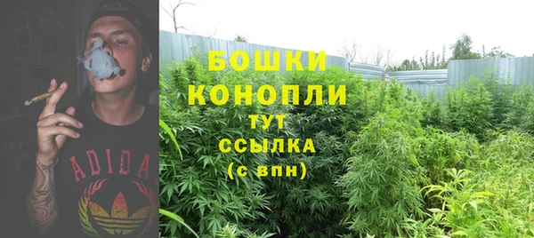 хмурый Арсеньев