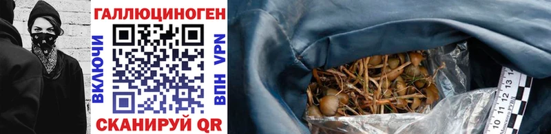Галлюциногенные грибы Psilocybine cubensis  мориарти как зайти  Белово  как найти закладки 